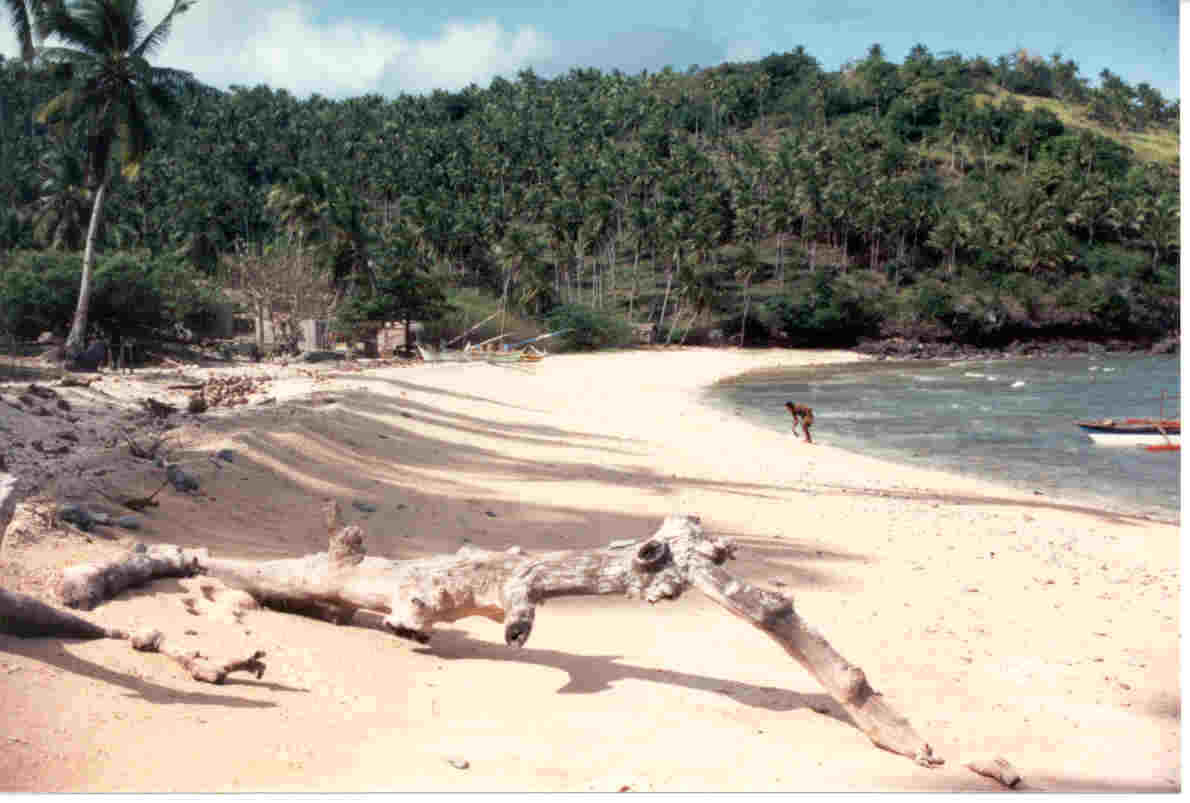 wpe7.jpg (67560 bytes)