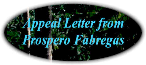 wpe6.jpg (16577 bytes)