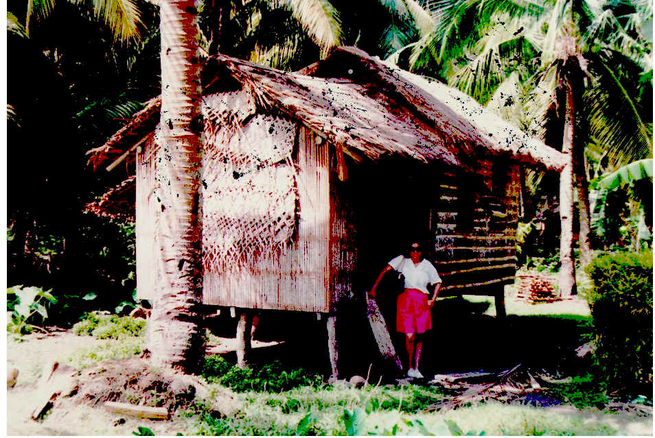 wpe5.jpg (130941 bytes)