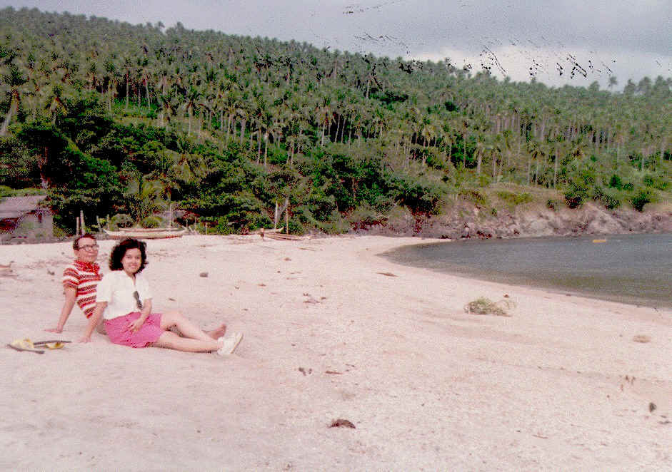 wpe1.jpg (86585 bytes)