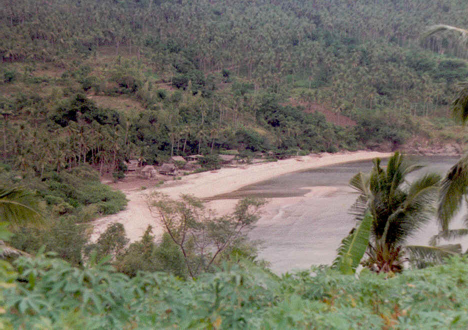 wpe12.jpg (86709 bytes)