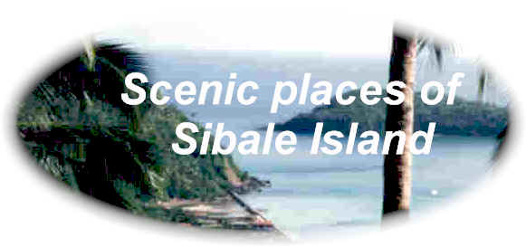 wpe1.jpg (17376 bytes)