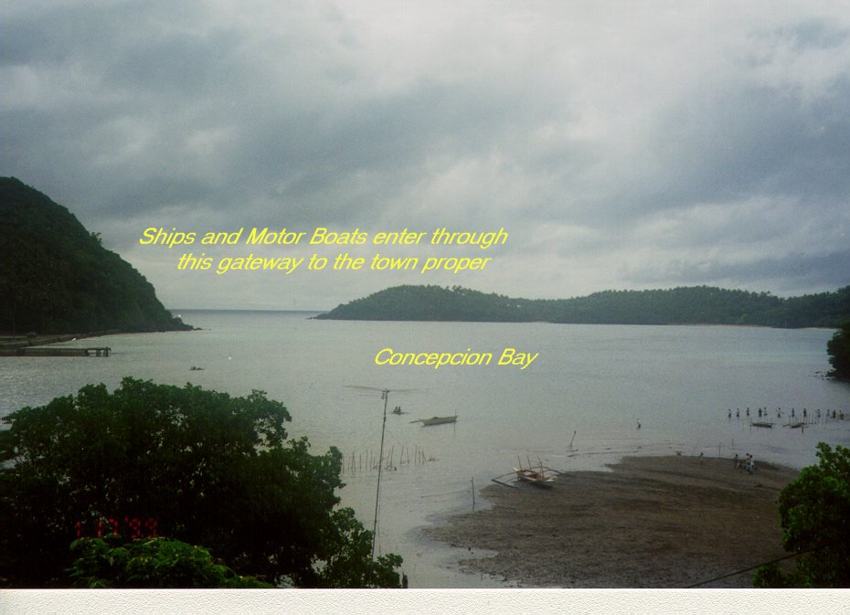 wpe1B.jpg (41962 bytes)