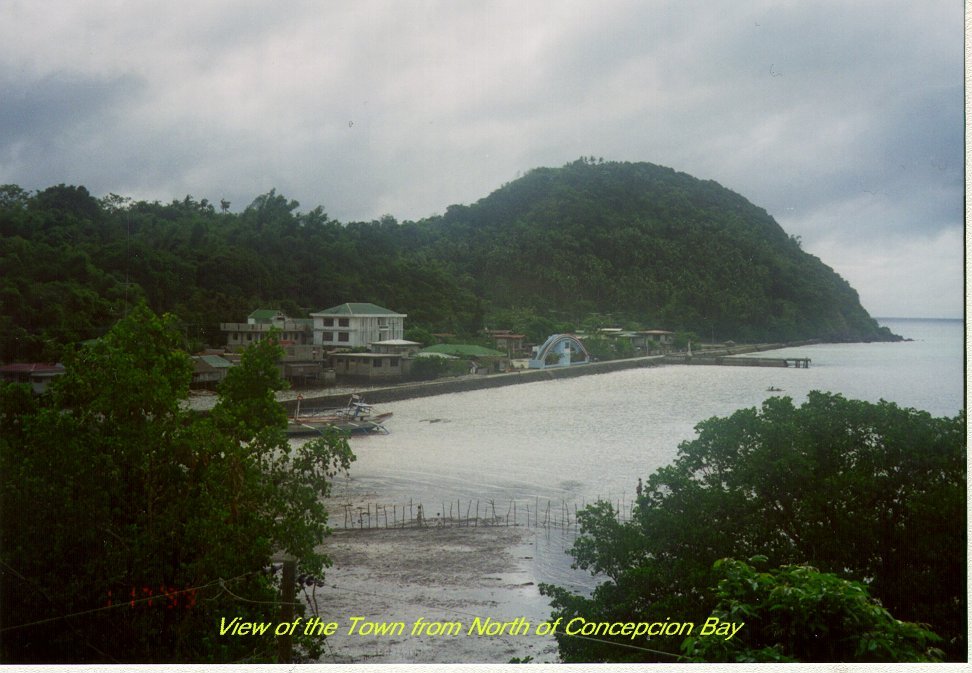 wpe11.jpg (61044 bytes)