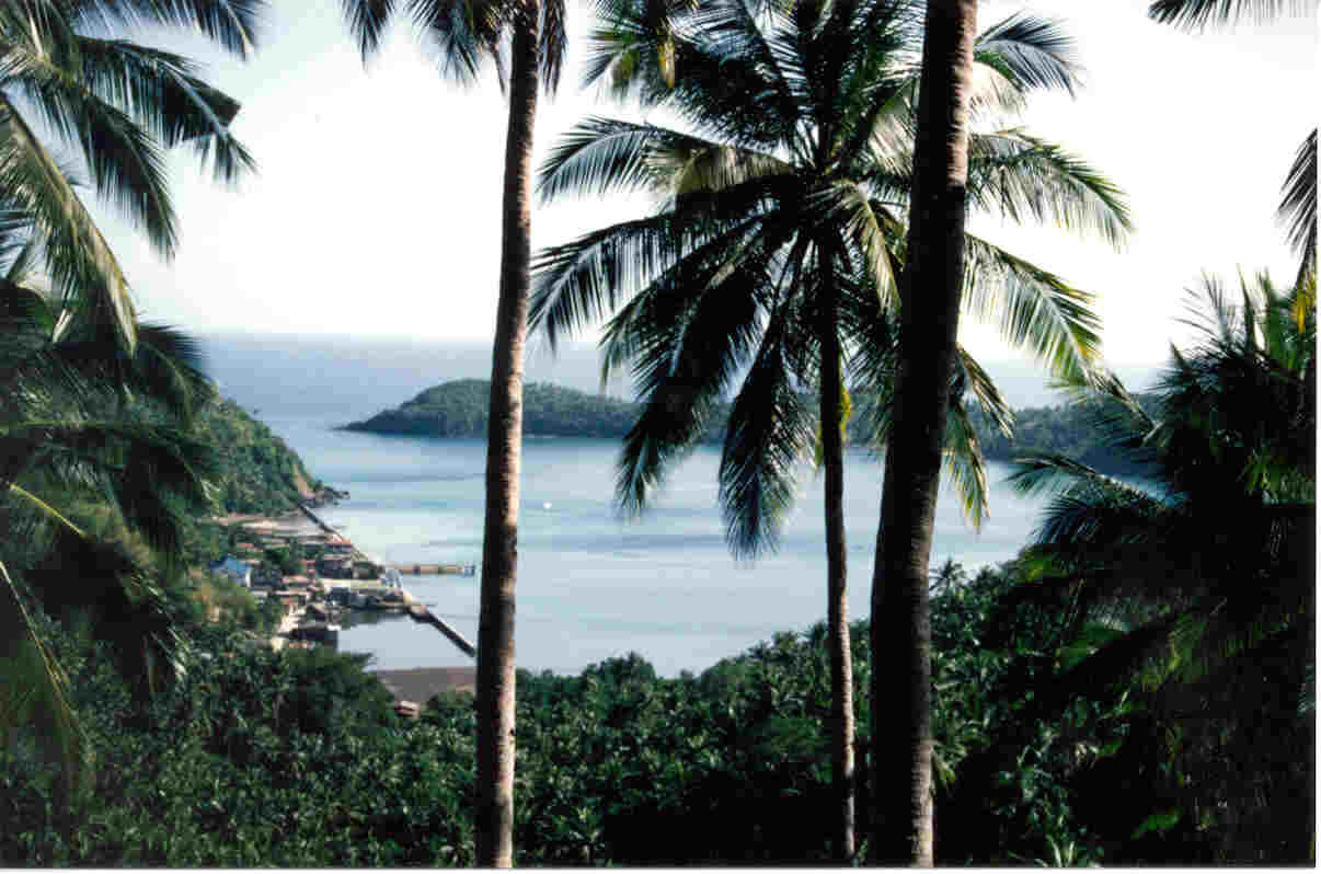 wpe4.jpg (93623 bytes)