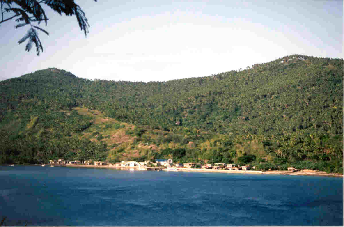 wpe3.jpg (66219 bytes)