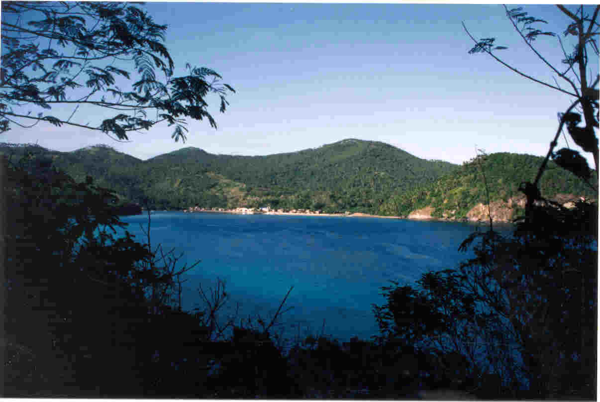 wpe2.jpg (68401 bytes)